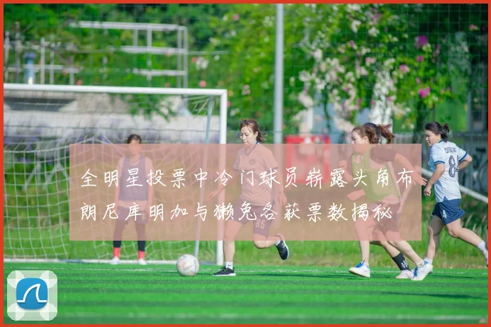 全明星投票中冷门球员崭露头角布朗尼库明加与獭兔各获票数揭秘